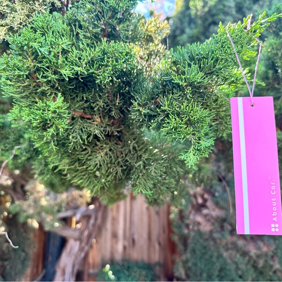 About Car Air Freshener | 24 Count (Pack of 1) | Sweet Blossom - Picture 5 of 6